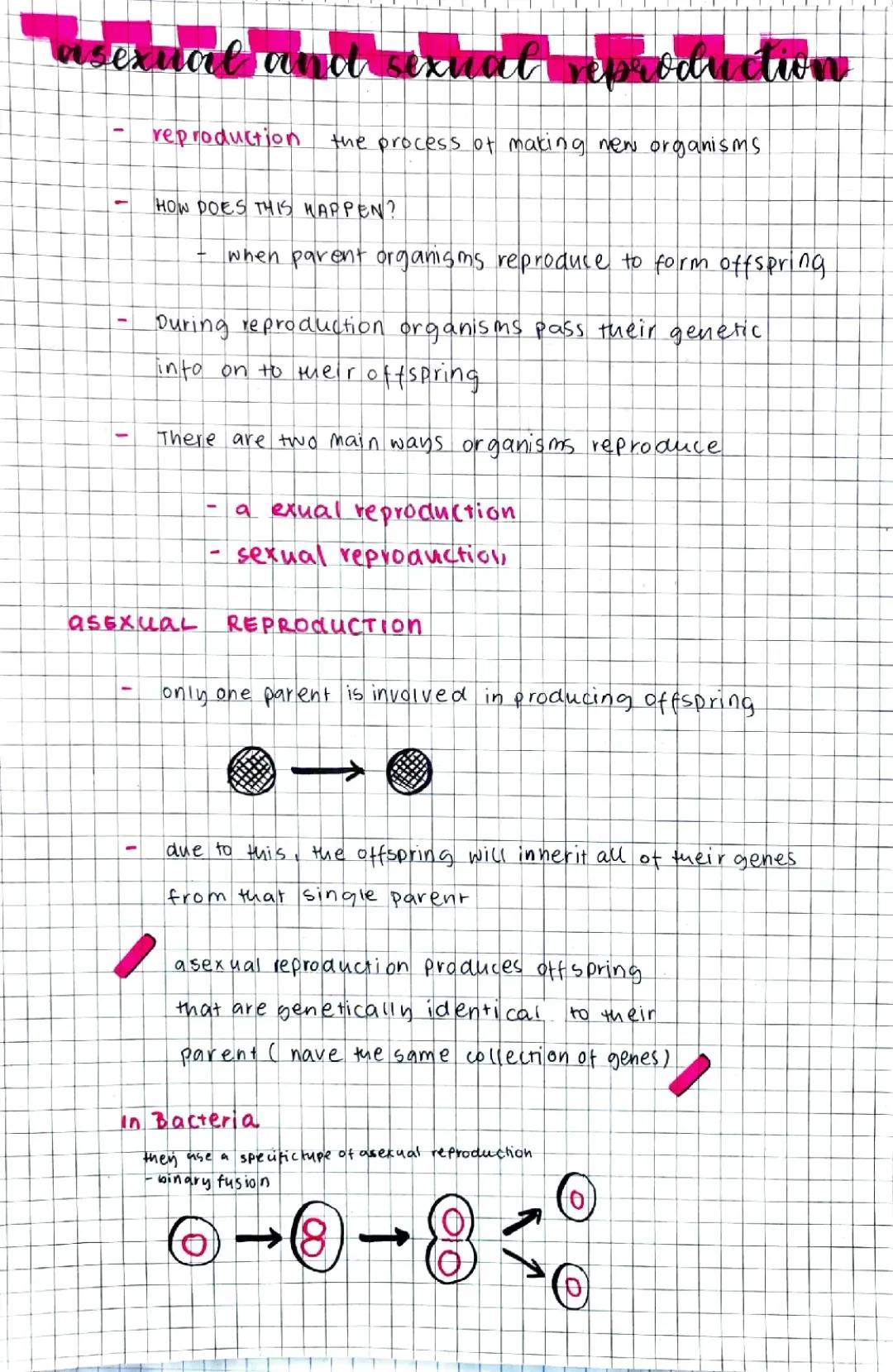 asexual and sexual reproduction