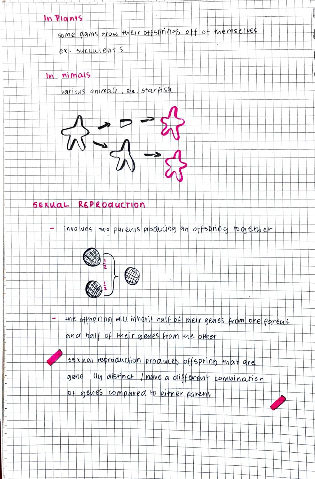 exual and sexual reproduction
reproduction the process of making new organisms
HOW DOES THIS HAPPEN?
+
when parent organisms reproduce to fo
