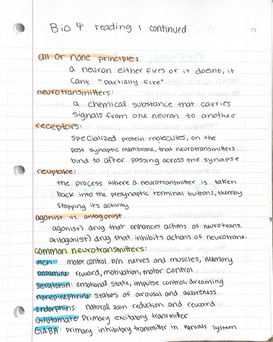 3
Bio Psych, reading
Types of Neurons:
sensory neurons detect info from the physical world.
and pass that information to your brain via the