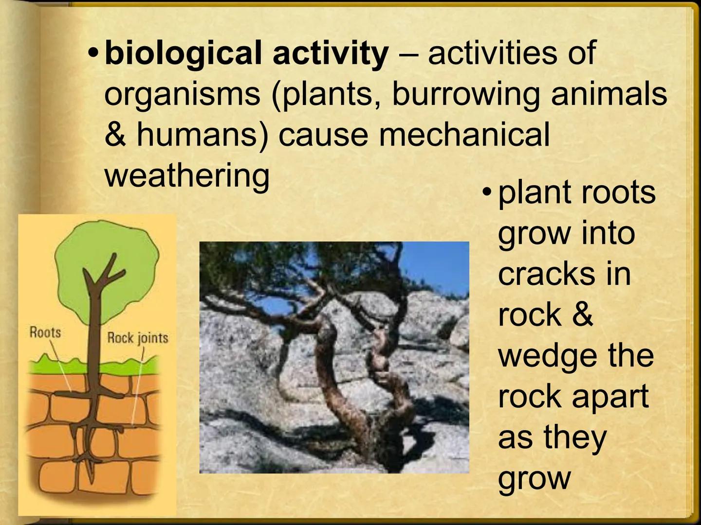 # Ch 5: Weathering, Soil, & Mass
Movements
## Ch 5.1: Weathering
Weathering - breaking down and changing
of rocks at or near Earth's surface