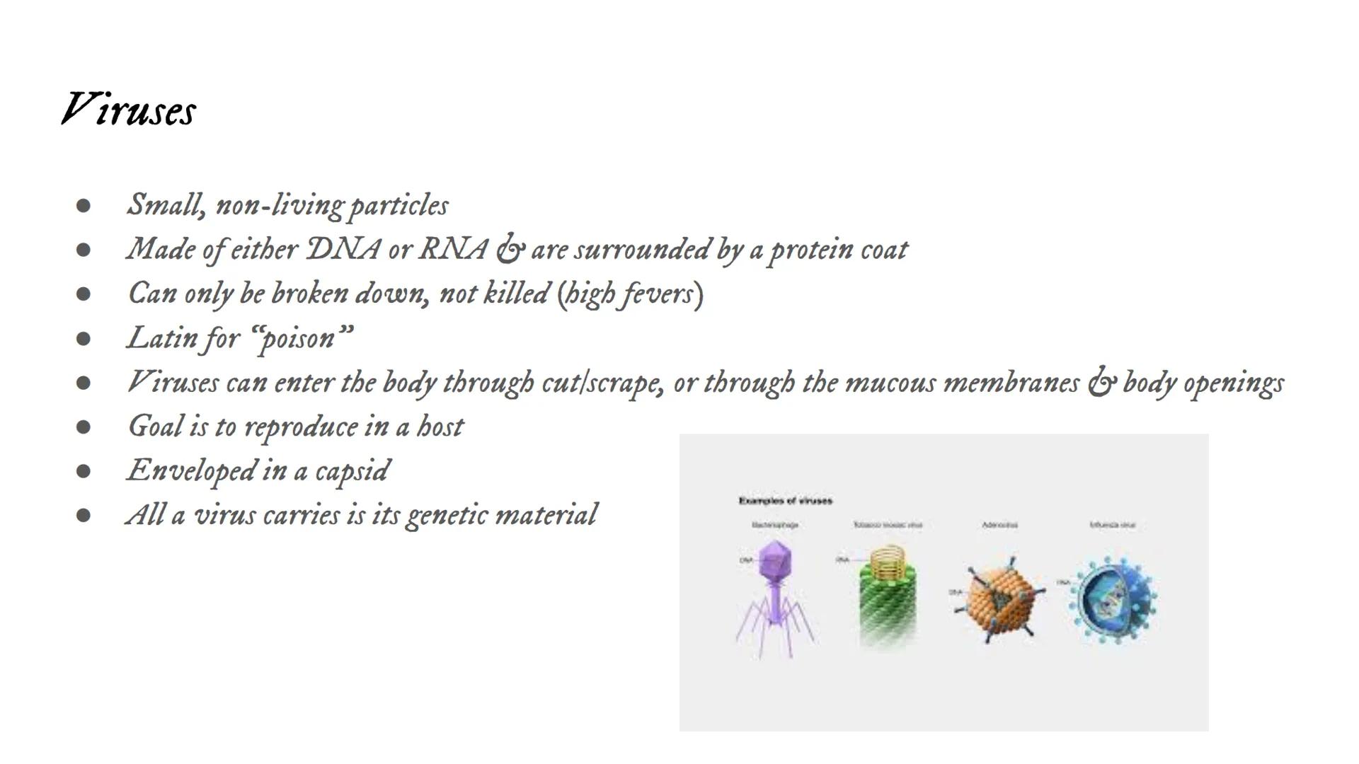 Intro to Viruses Viruses
Small, non-living particles
Made of either DNA or RNA & are surrounded by a protein coat
Can only be broken down, n
