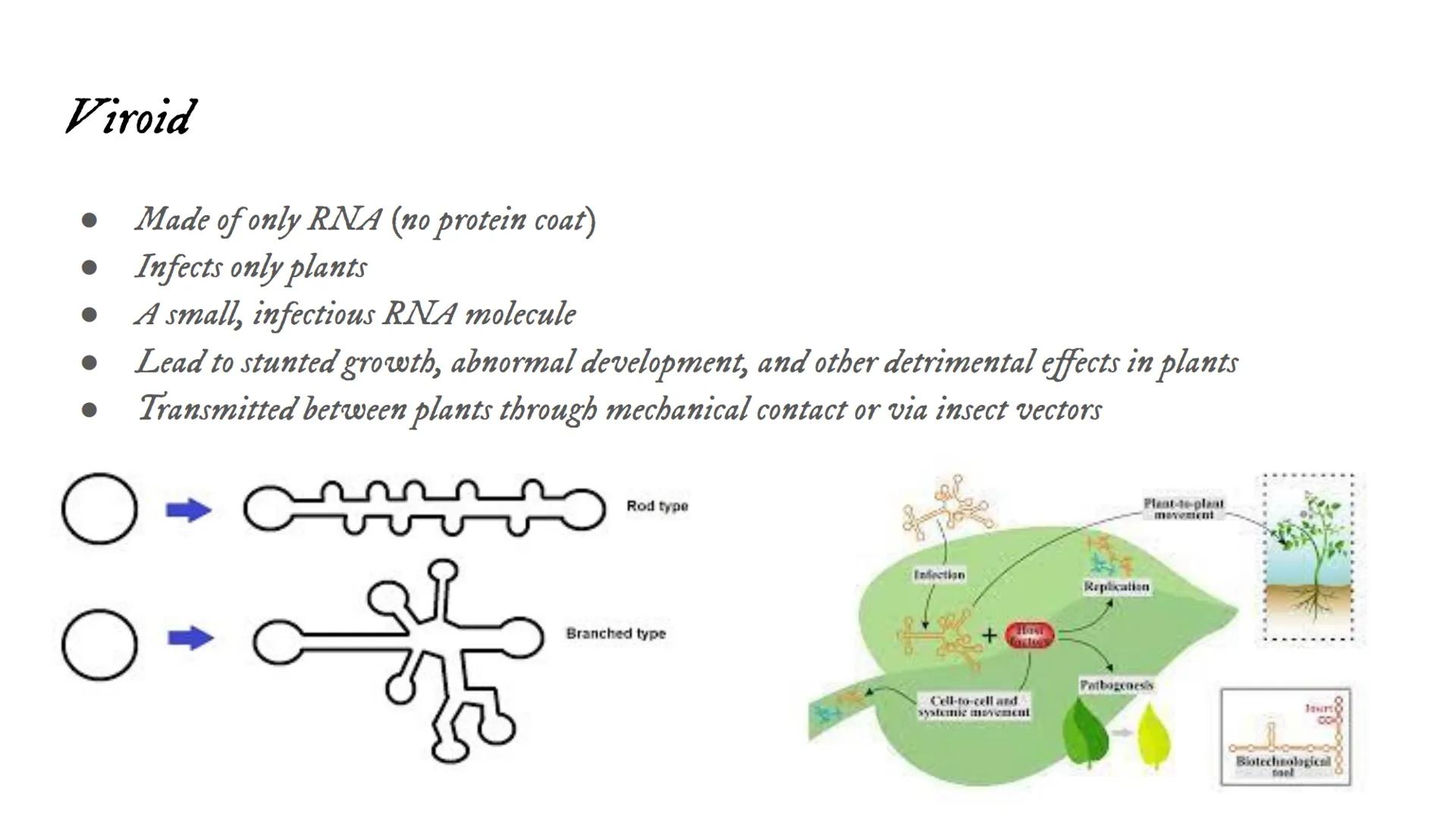 Intro to Viruses Viruses
Small, non-living particles
Made of either DNA or RNA & are surrounded by a protein coat
Can only be broken down, n