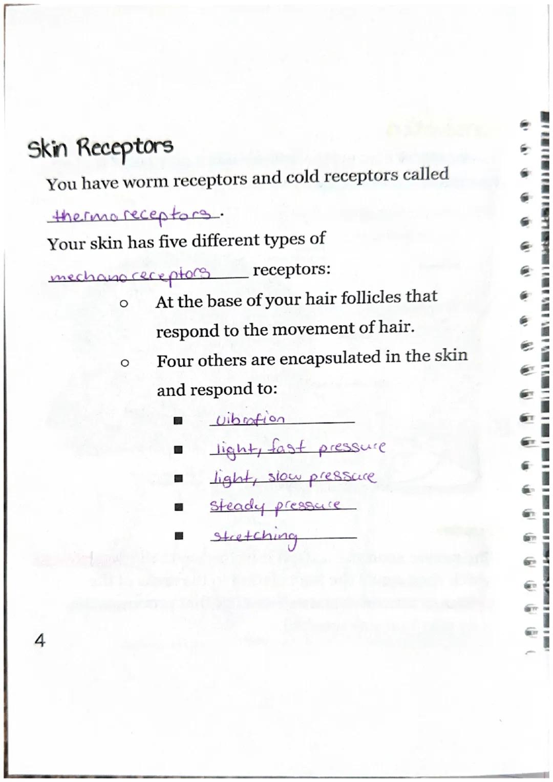 Sensory Receptors
What is a sensory receptor?
a newon designed
Sensory receptors can be classified into six different
types.
| Type of Rec