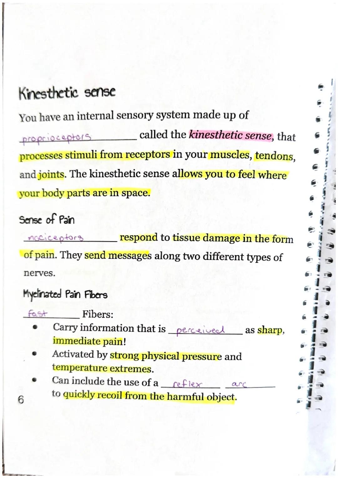 Sensory Receptors
What is a sensory receptor?
a newon designed
Sensory receptors can be classified into six different
types.
| Type of Rec