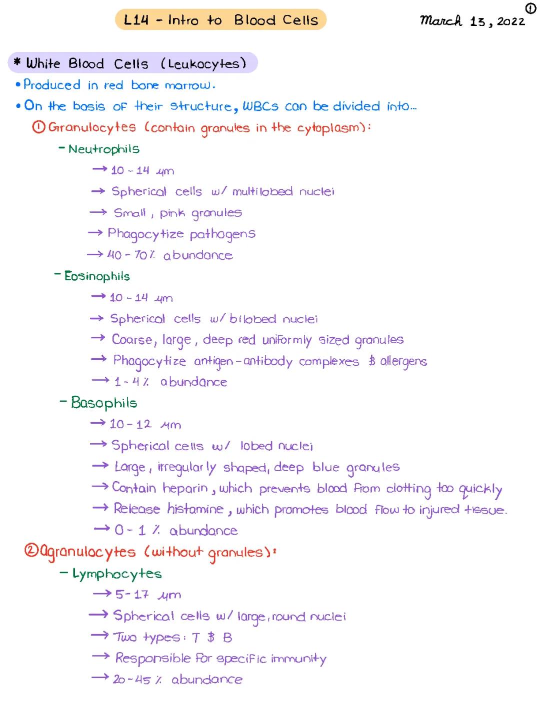 Introduction to Blood Cells