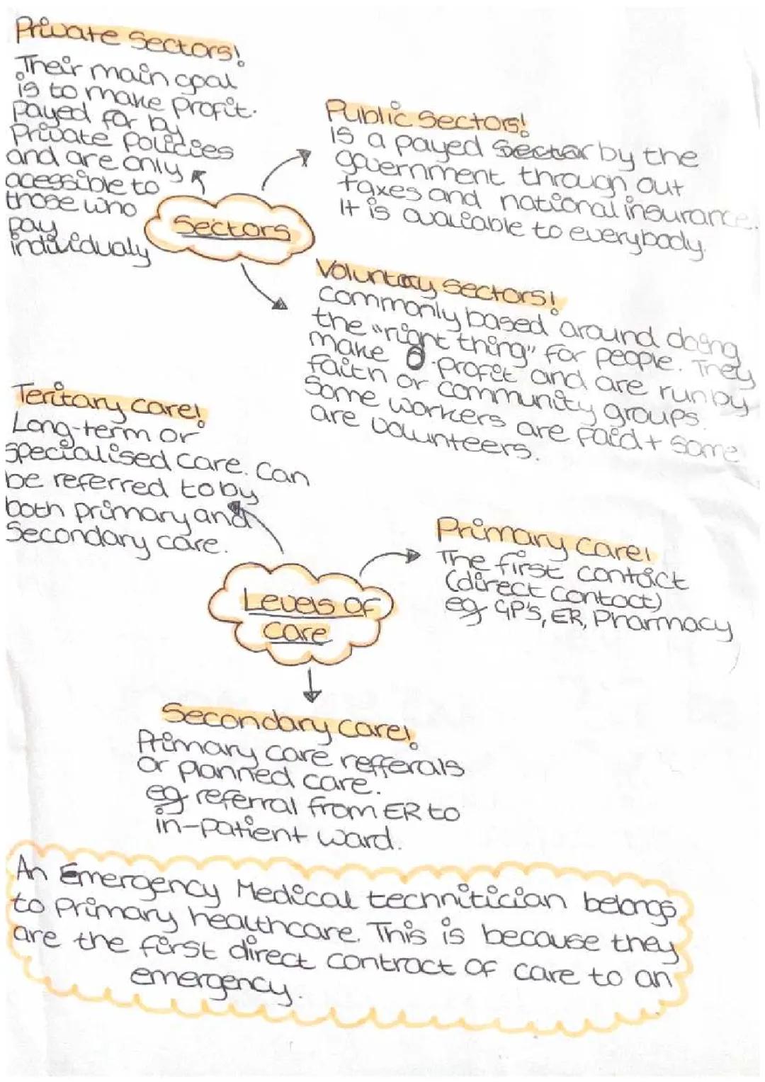 The Role of Healthcare Sectors