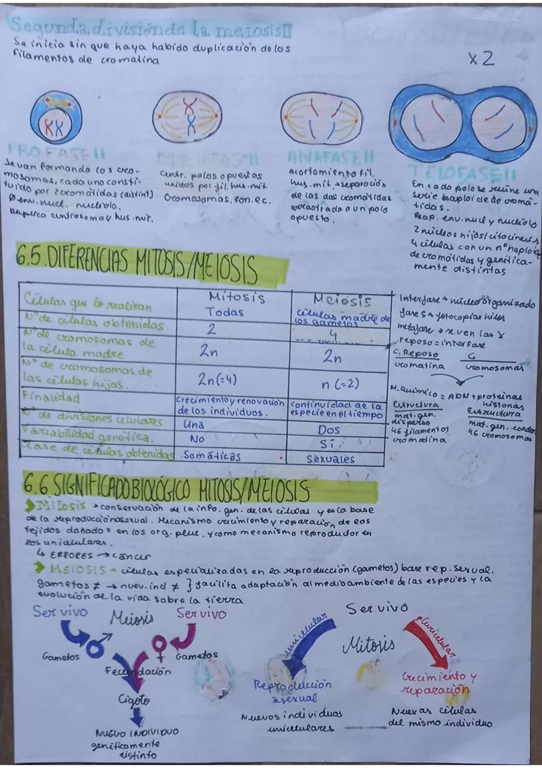 # La célula
unidad de vida
1. TEORIA CELULAR
→Todos los seres vivos están formados por células $\underset{pluricelulares}{\longrightarrow