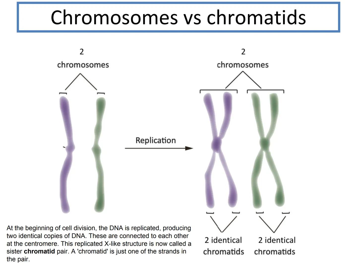 N5 Unit 2 KA1
Producing New Cells N5 biology course
1. Cell Biology
2.
3. Life on Earth
Multicellular Organisms Unit 2 - Multicellular organ