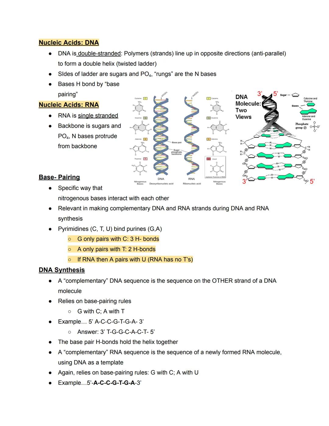 # Chapter 5- Molecules
Four types of Biological Macromolecules
1. Carbohydrates
2. Proteins
3. Nucleic Acids
4. Lipids
Most are polymers: