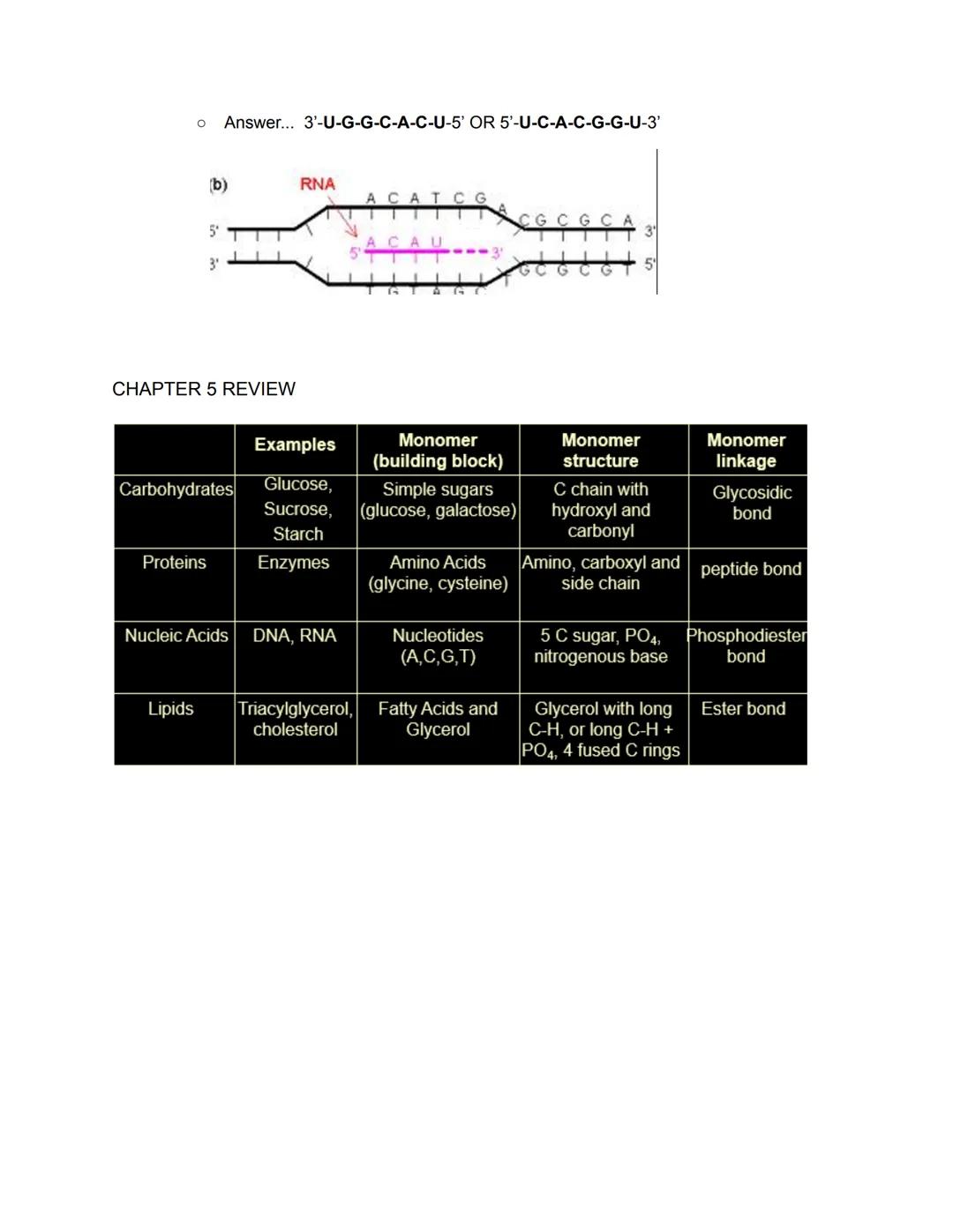 # Chapter 5- Molecules
Four types of Biological Macromolecules
1. Carbohydrates
2. Proteins
3. Nucleic Acids
4. Lipids
Most are polymers: