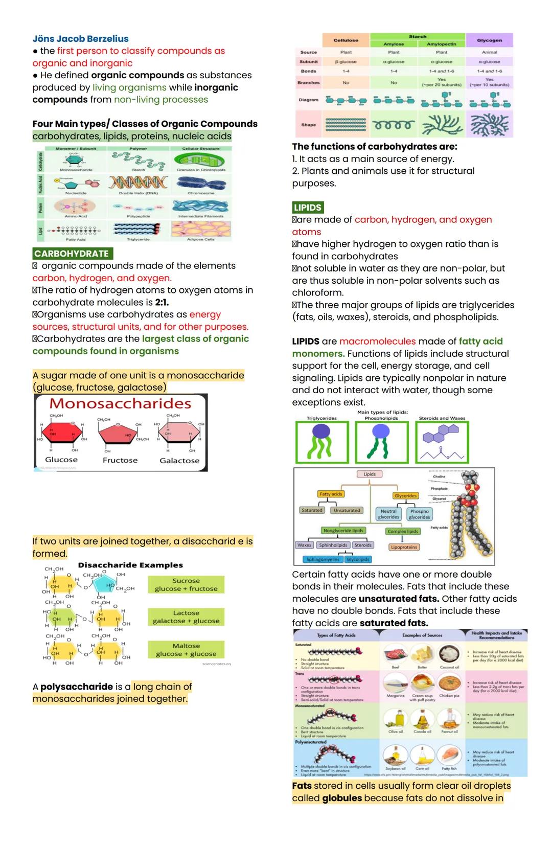 LESSON 1: ATOMIC MODEL
ATOM: BASIC UNIT OF MATTER
Thales - All matter is made up of what was called
primal matter."
Aristotle proposed that