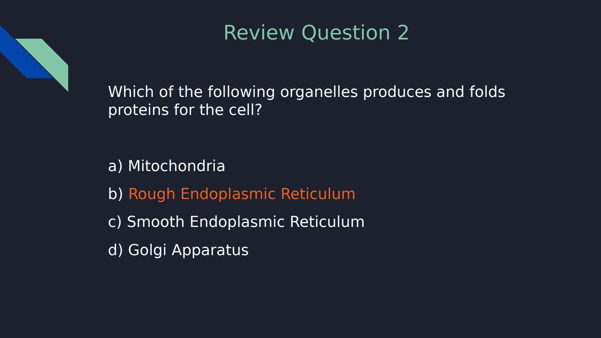 Review Question 1
Which of the following is NOT a type of passive transport?
a) Simple Diffusion
b) Osmosis
c) Facilitated Diffusion
d)