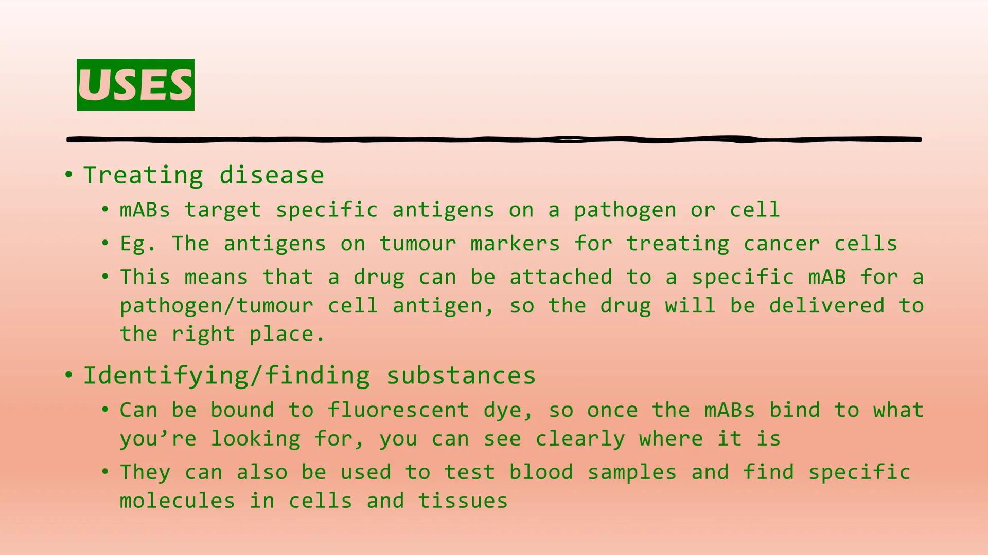 MONOCLONAL
ANTIBODIES....
(mABs) DESCRIPTION
●
• Monoclonal antibodies are produced from clones of
a white blood cell
• They are identical a