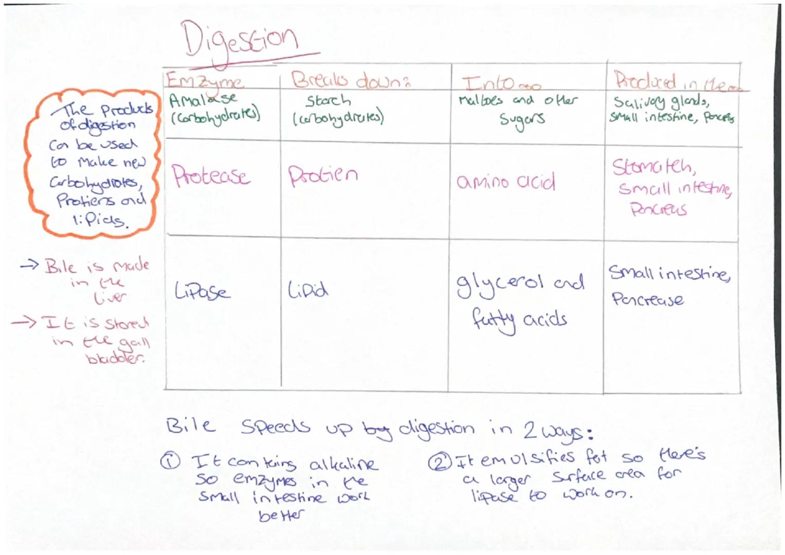 cell
Corgon systems
Agrow of
Sacell.
organisa
orgins working
toyerler.
Cell- basic
building block
that all ofgerisms group
have.
ton
orgissy