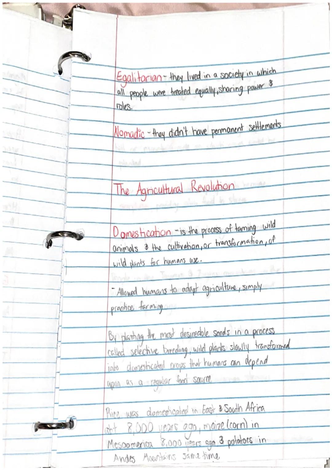 Ancient Civilization & 1st Humans
Human evolution began with hominids
They Takeaways
• Prehistory is the story of human history
before th