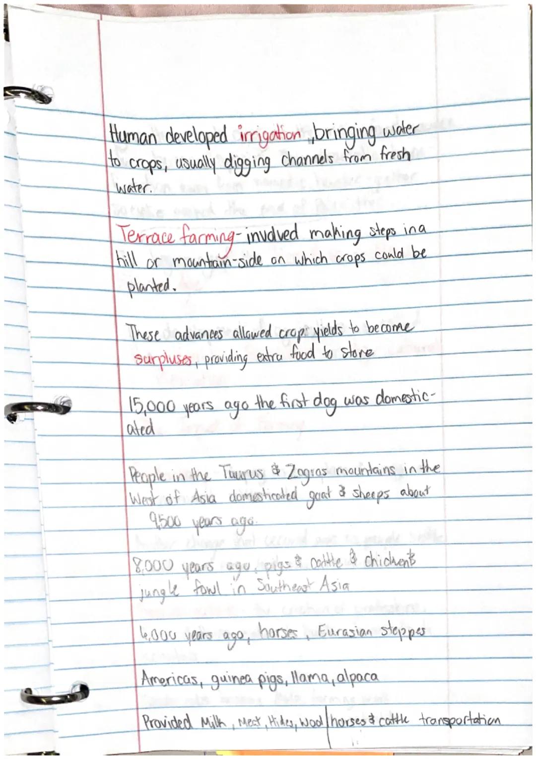 Ancient Civilization & 1st Humans
Human evolution began with hominids
They Takeaways
• Prehistory is the story of human history
before th