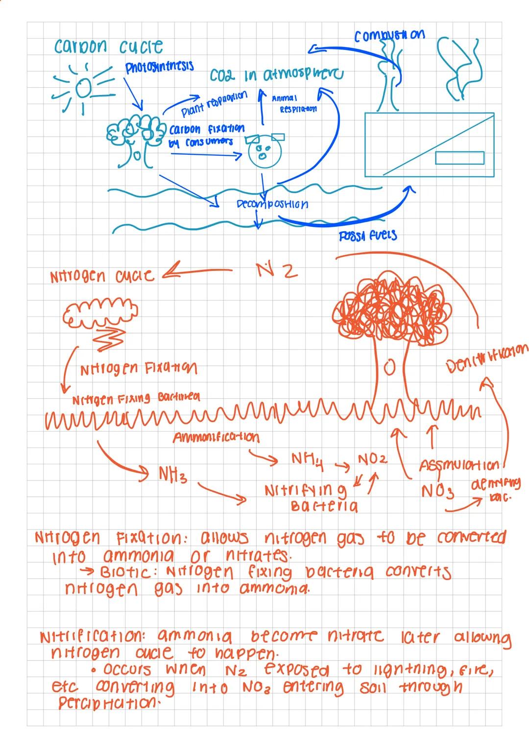 APES: UNIT ONE
Earths energy
Most of the energy comes from the soun
A tiny praction comes from
• Occan tides
• Geothermal
L
●
.
Lava & magma