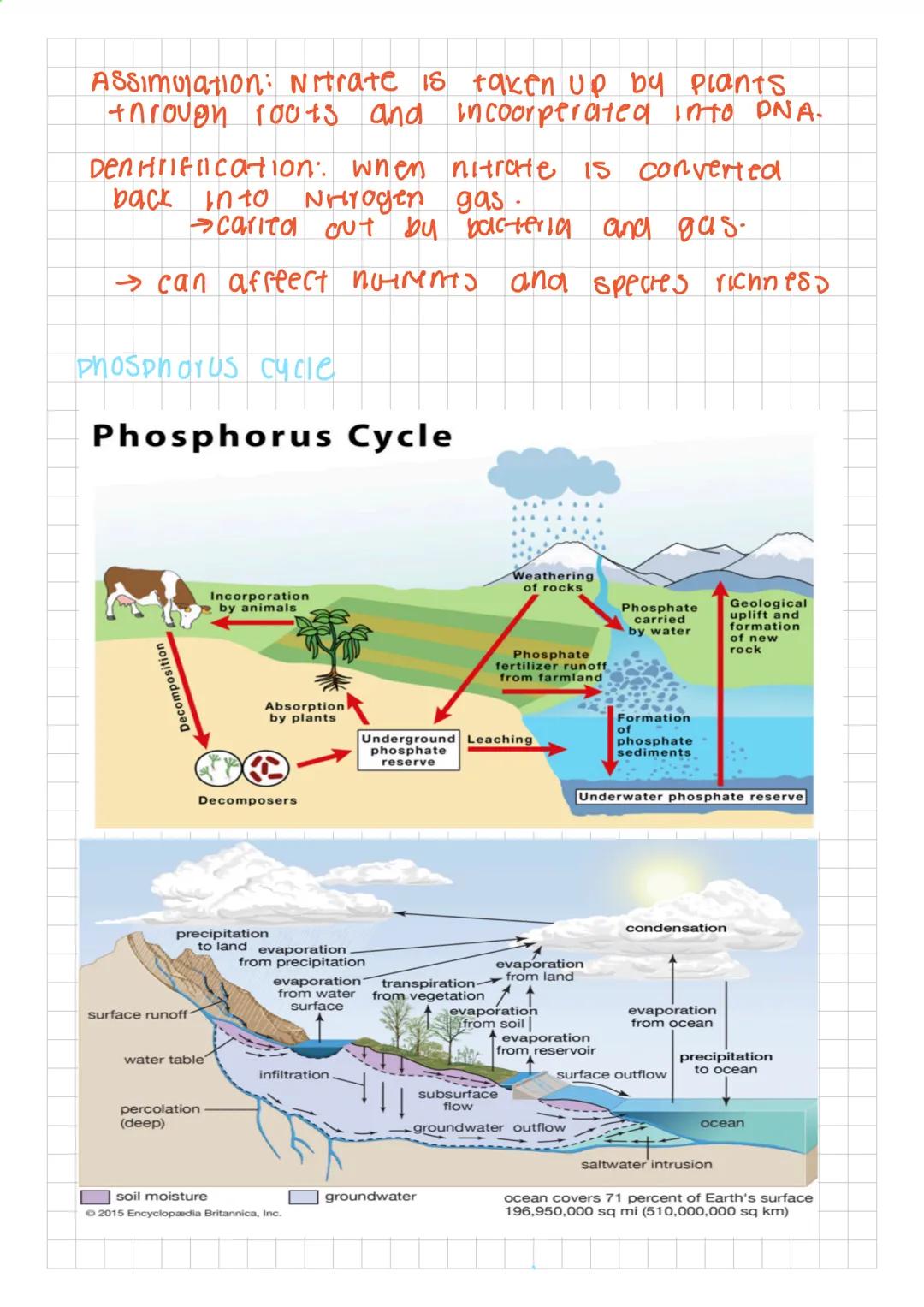 APES: UNIT ONE
Earths energy
Most of the energy comes from the soun
A tiny praction comes from
• Occan tides
• Geothermal
L
●
.
Lava & magma