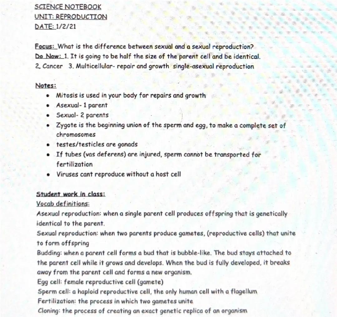 Asexual vs Sexual reproduction