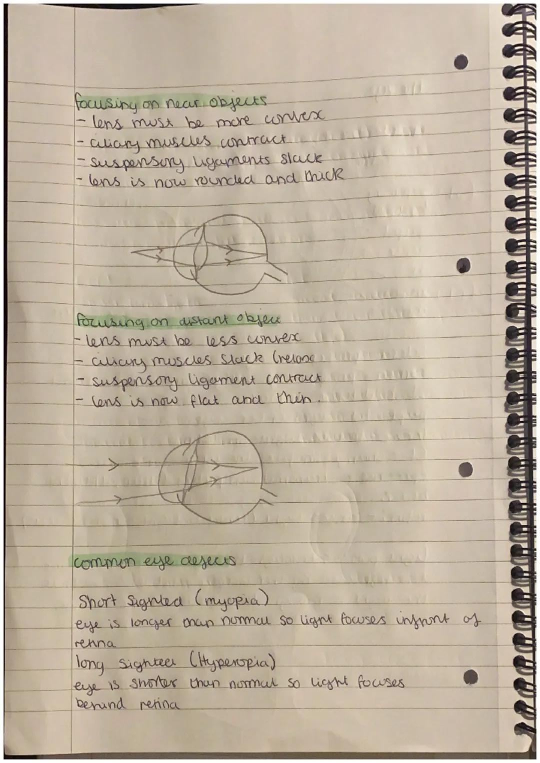 the brain
Cerebral
corten
Cerebrum
Rituitary
gland
Hypothalamus
pons
medulla
rate.
can study the brain with
MRI & CT Secuns.
ventricles
"Cor