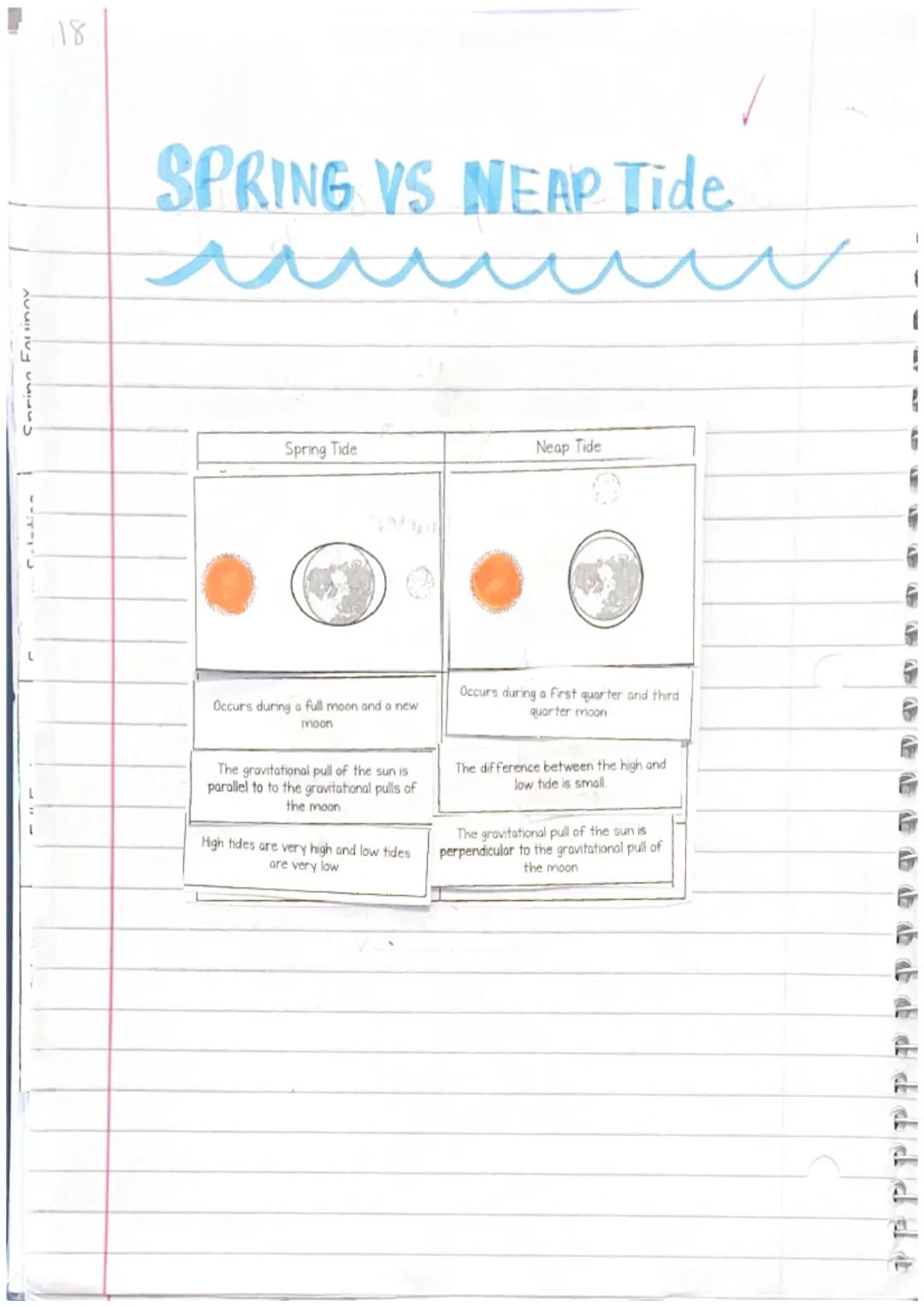 Coring Fouinov
18
# SPRING VS NEAP Tide
| Spring Tide | Neap Tide |
| ----------- | ----------- |
| | |
| Occurs during a full moon and a