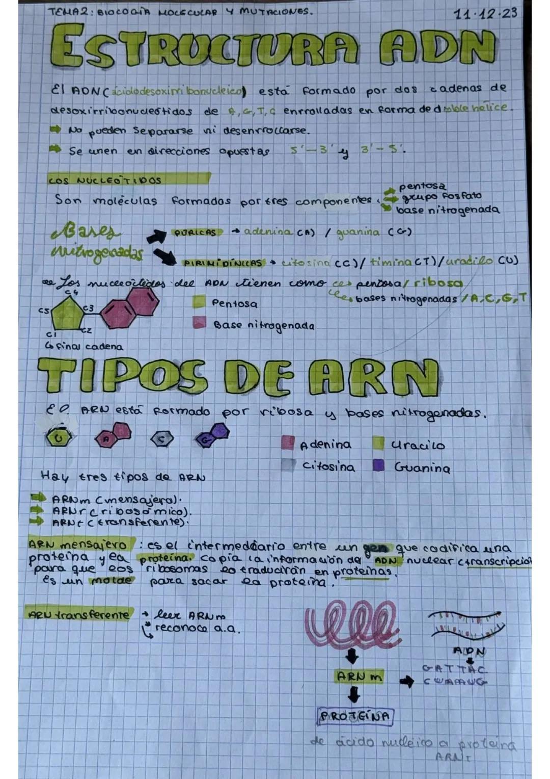 # Biologia videcaatavi
y mutaciones
TRANSCRIPCIÓN
ADN
ATCG
ARN
AUCG
TRADUCCION
PROTEINA
20 amino acidos
+
19.93bases N.
TRIPLETE
X