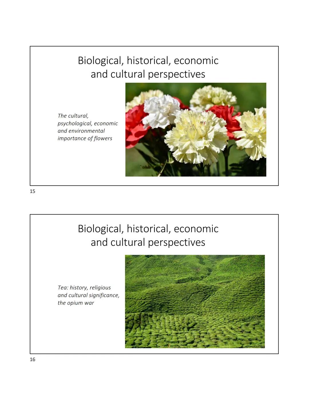 1
2
Plants and Civilizations - Lecture 1
Important! This course is at (or very near) capacity. I can't override when the class is
full. It i