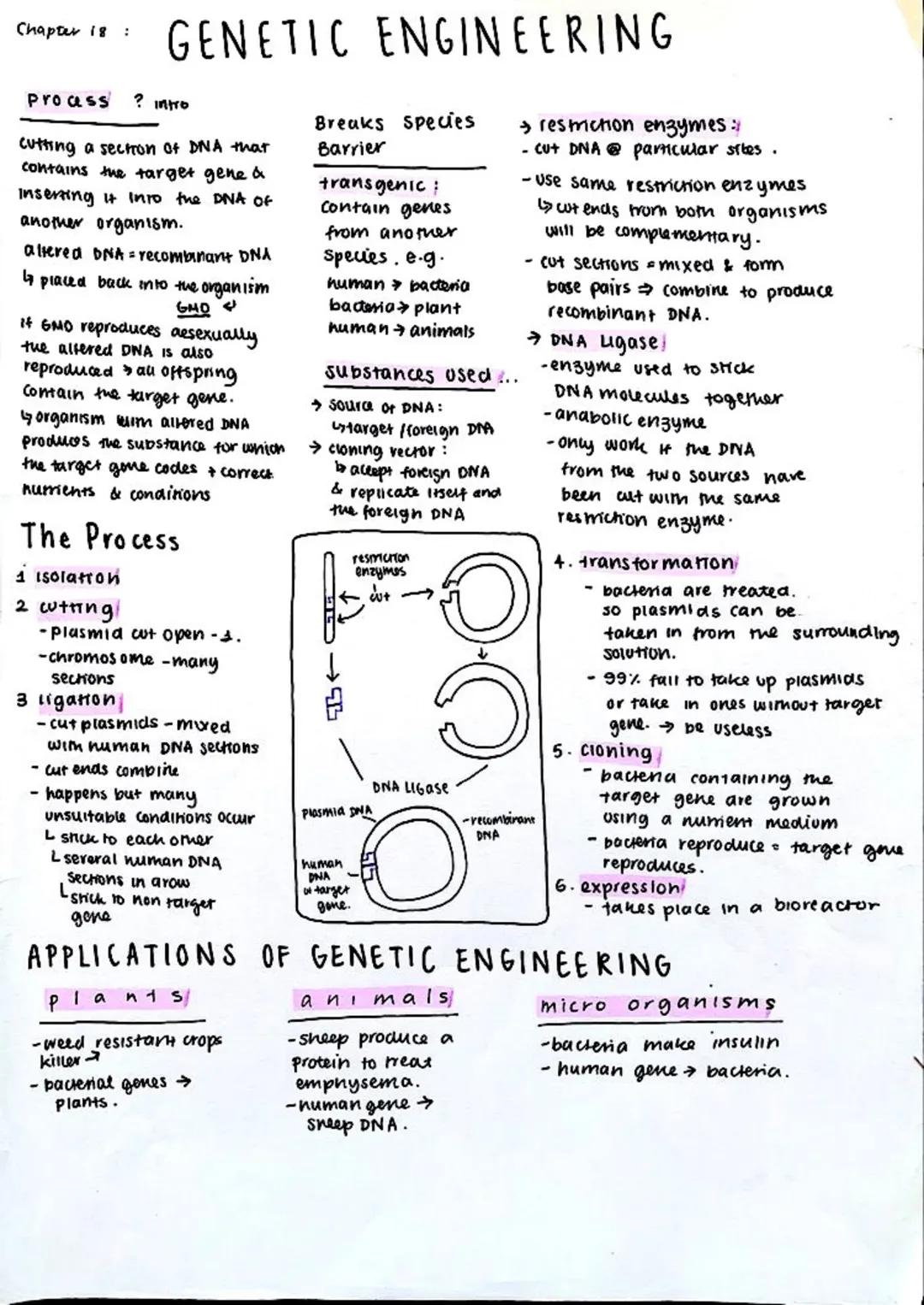Chapter 18:
# GENETIC ENGINEERING
Proass? intro
cutting a section of DNA that
contains the target gene &
Inserting it into the DNA of
anot