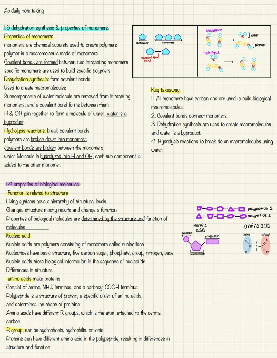 # Ap daily note taking
## 1.3 dehydration synthesis & properties of monomers.
### Properties of monomers:
* monomers are chemical subun
