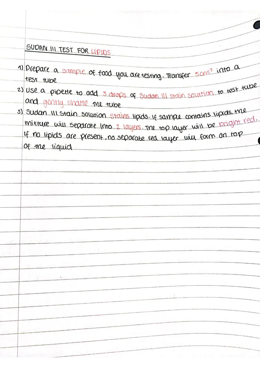 BLO LO GY
DIGE STI
FOO
D
0
TESTS
BENEDICTS TEST FOR GLUCOSE
1) Prepare a food sample and transfer 5cm³ to a test tube
2) Prepare a water bat