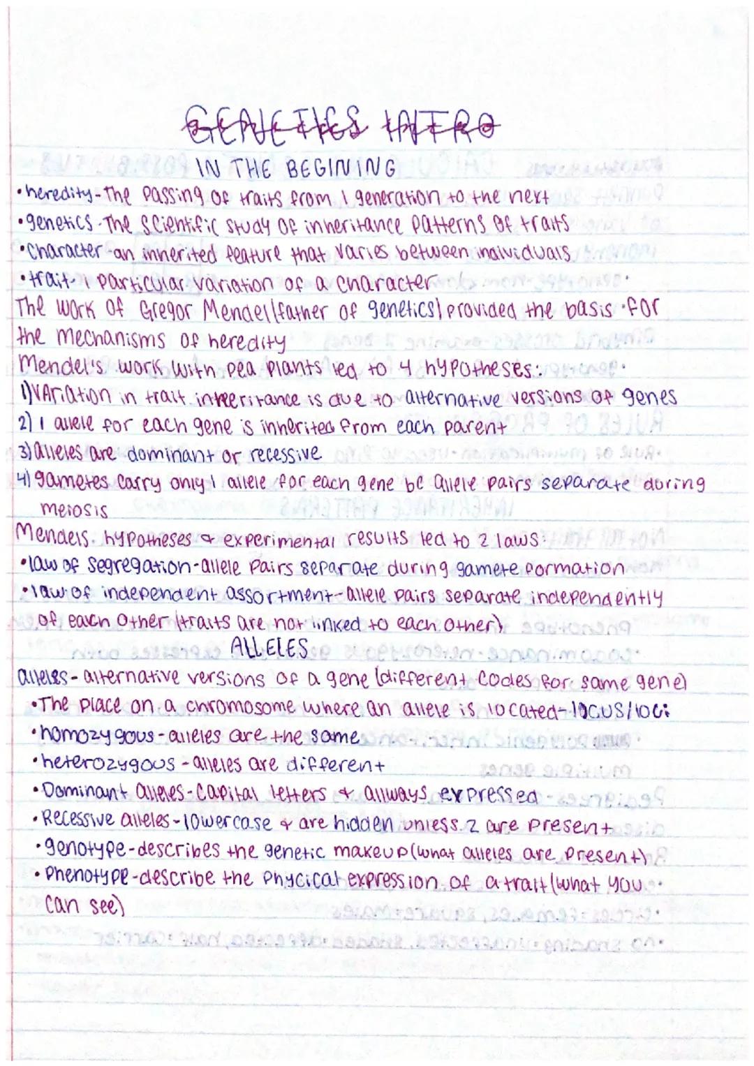 # GEAVE FIES HAVERO
IN THE BEGINING
•heredity-the passing of traits from I generation to the next
•genetics The Scientific study of inher