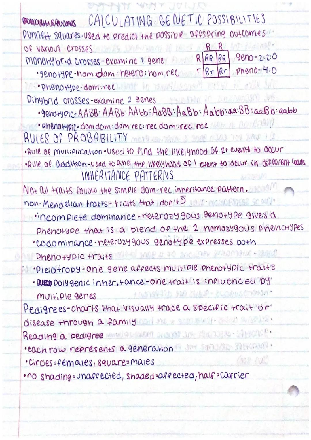 # GEAVE FIES HAVERO
IN THE BEGINING
•heredity-the passing of traits from I generation to the next
•genetics The Scientific study of inher