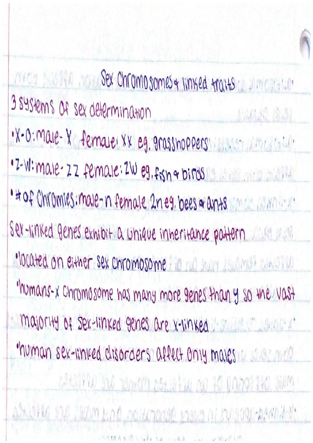 # GEAVE FIES HAVERO
IN THE BEGINING
•heredity-the passing of traits from I generation to the next
•genetics The Scientific study of inher