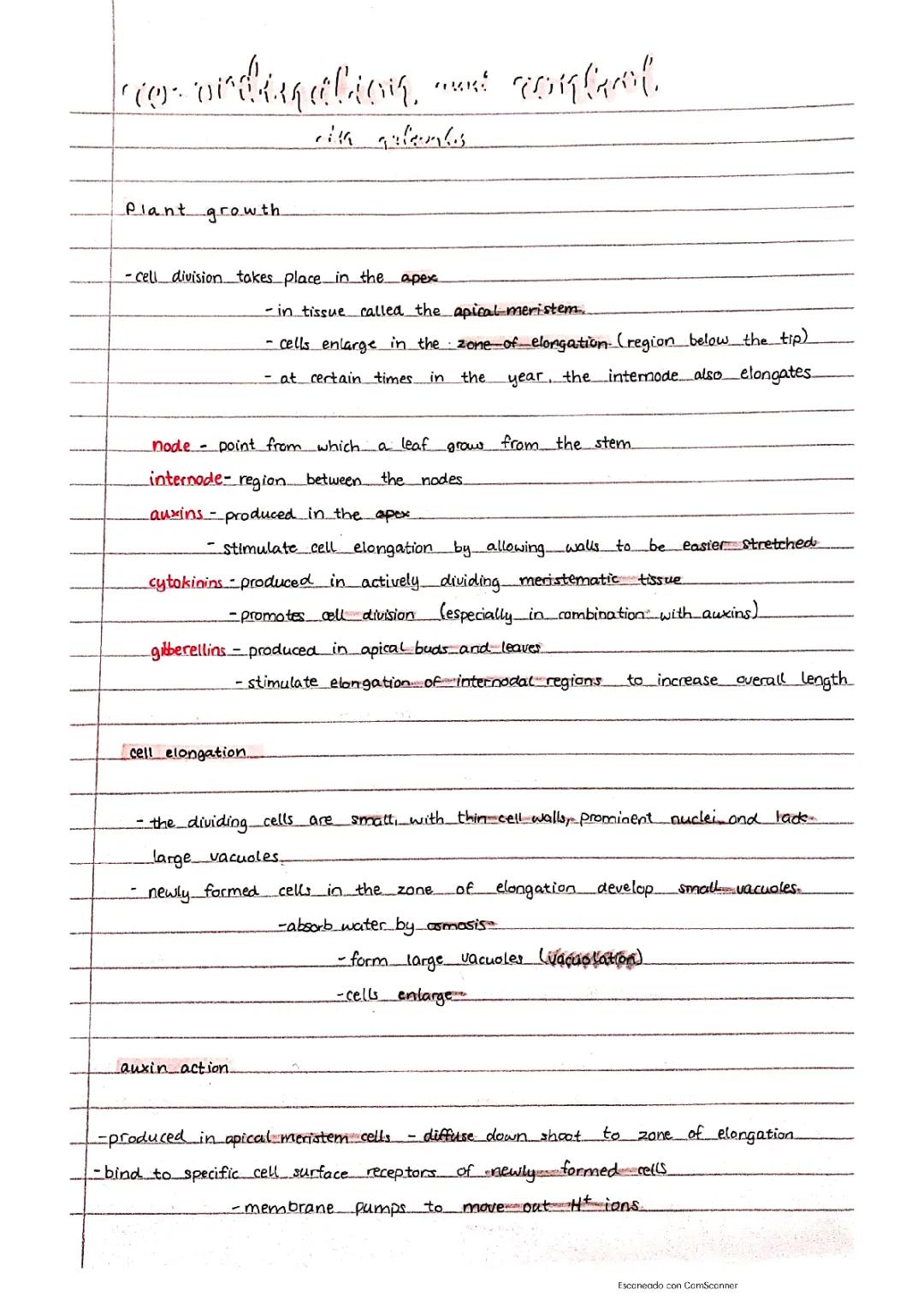 coordination and control in plants