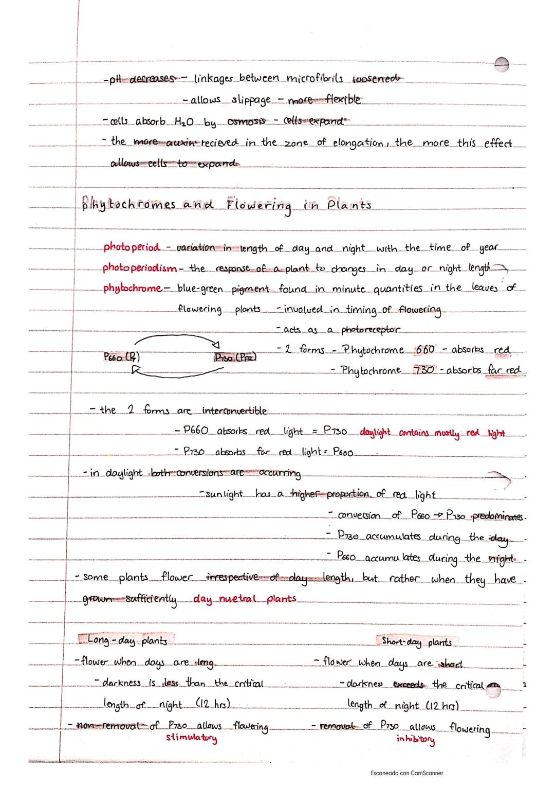 ccor-wrddaqaliena. munt roubol
dla galambs
Plant growth
-cell division takes place in the apex
node point from which a leaf grow from the st