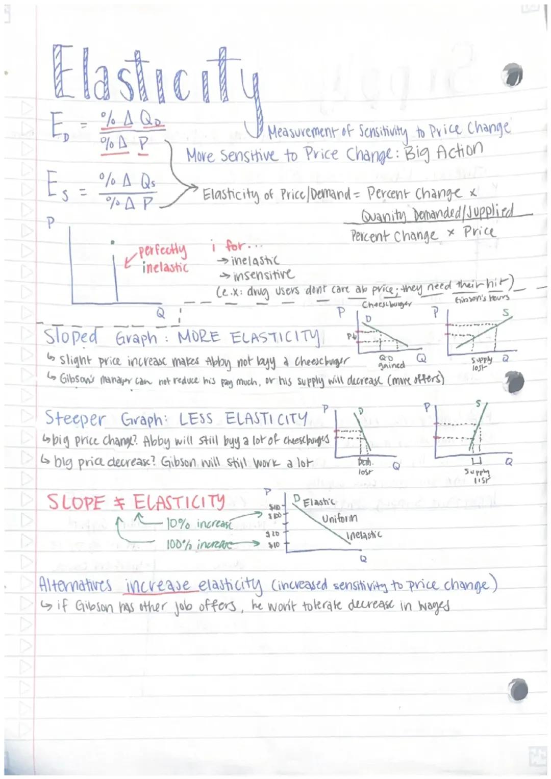 Understanding Price Elasticity in Economics