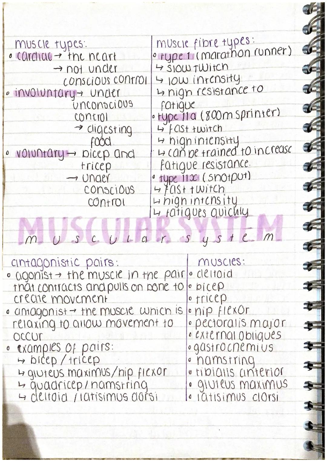 muscle types:
• cardiac → the heart
→ not under
Conscious control
• involuntary → under
0
unconscious
control
→ cligesting.
food
• voluntary