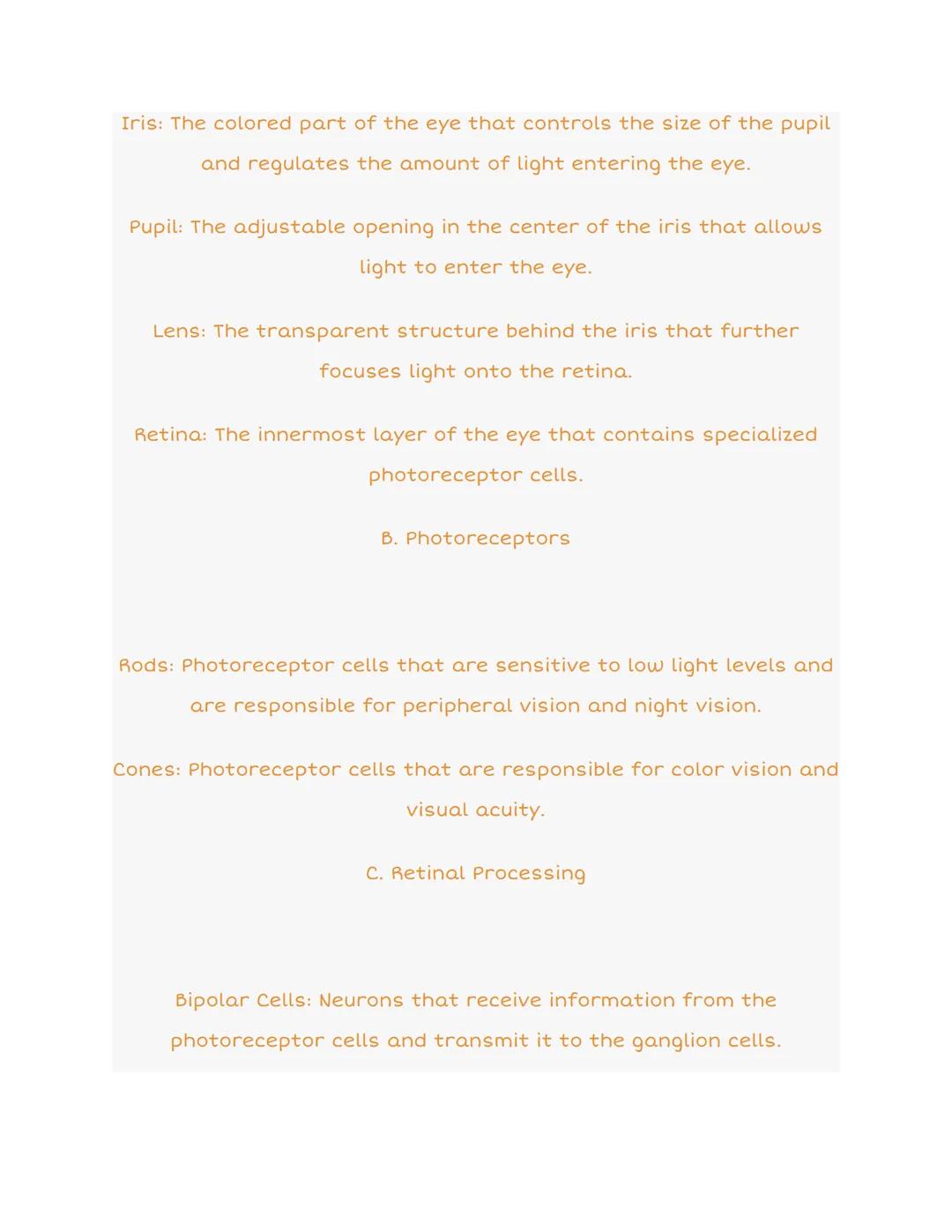 3.3 Visual Anatomy: Organized Notes
Sclera
Aqueous Humor
Come
Pup
Light
EYE
Cellary Body
Foves
Blind Spot
Vitreous Humor
Choroid
Blood Vetse