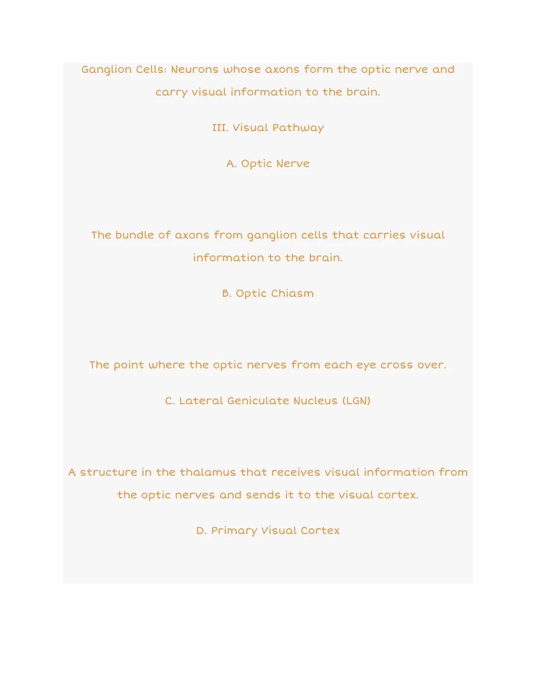 3.3 Visual Anatomy: Organized Notes
Sclera
Aqueous Humor
Come
Pup
Light
EYE
Cellary Body
Foves
Blind Spot
Vitreous Humor
Choroid
Blood Vetse