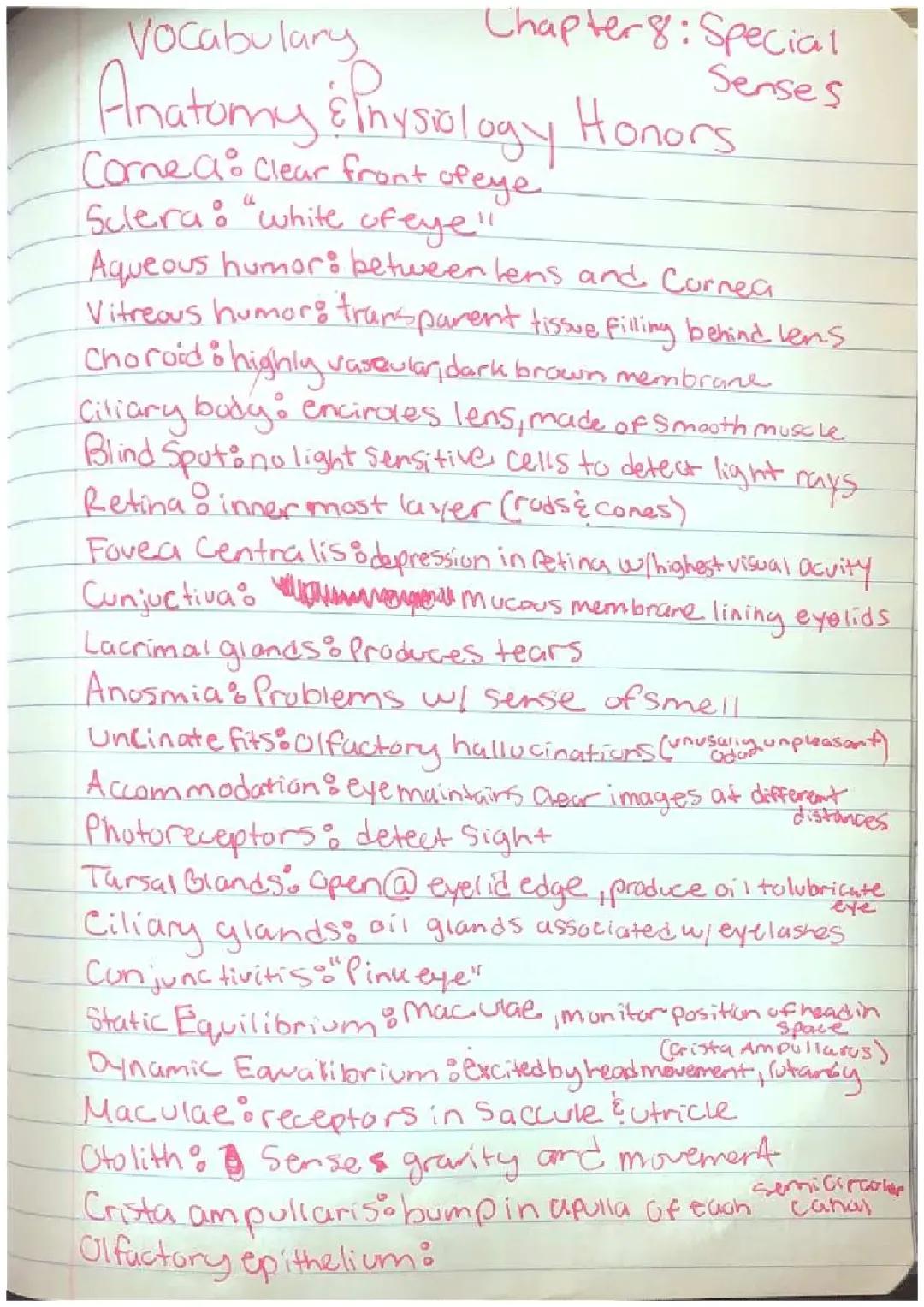 Anatomy and Physiology Chapter 8:Special senses Vocabulary