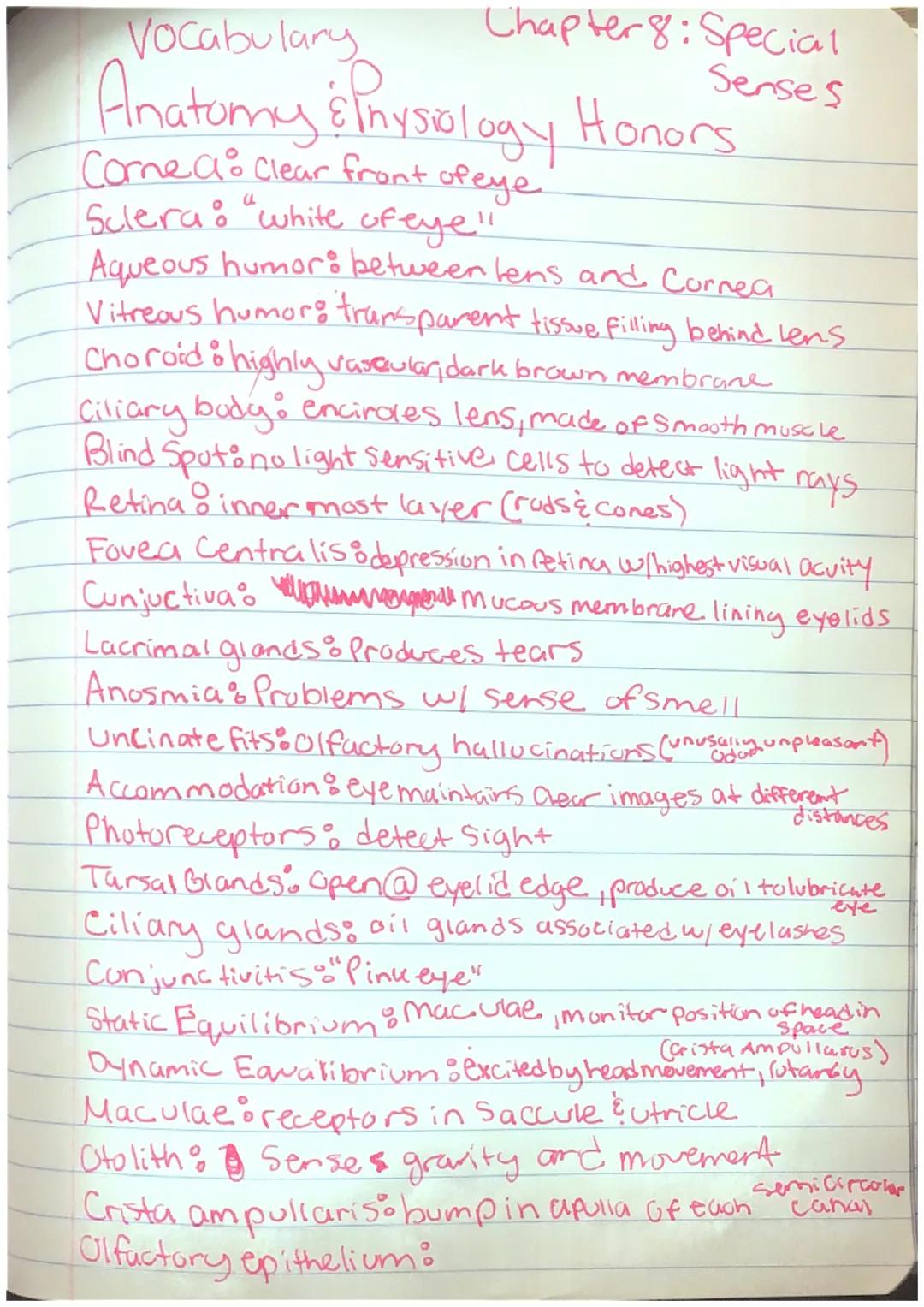 Chapter 8: Special
Senses
Vocabulary
Anatomy & Physiology Honors
Corne a clear front of eye!
Sclera: "white of eye"
Aqueous humor: between l
