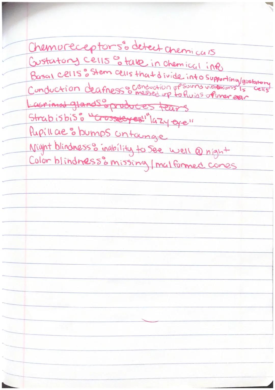 Chapter 8: Special
Senses
Vocabulary
Anatomy & Physiology Honors
Corne a clear front of eye!
Sclera: "white of eye"
Aqueous humor: between l