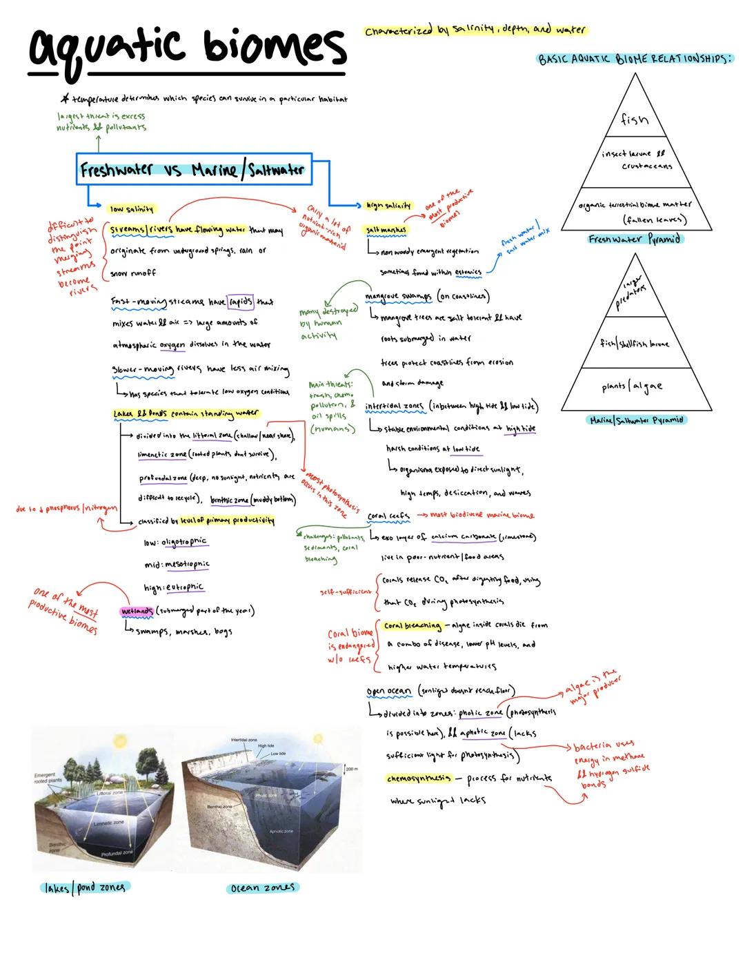 Understanding Aquatic Biomes: Freshwater and Saltwater Types