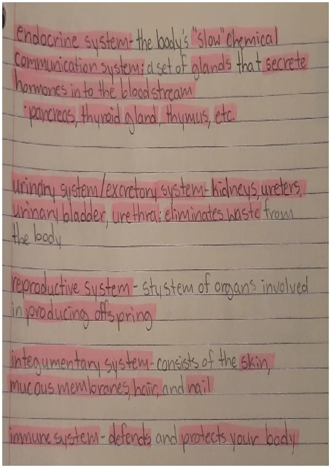 Body Systems
Cardiovascular system/Circulatory system-
the transport systems of the body responsible for
Carning oxygen and nutrients to to