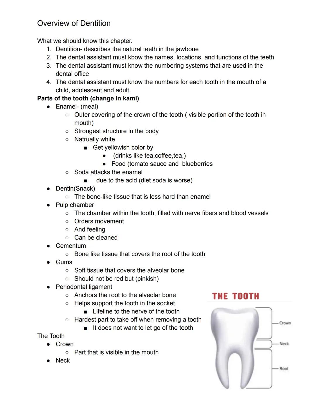 Comprehensive Guide to Teeth: Parts, Types, Names, and More
