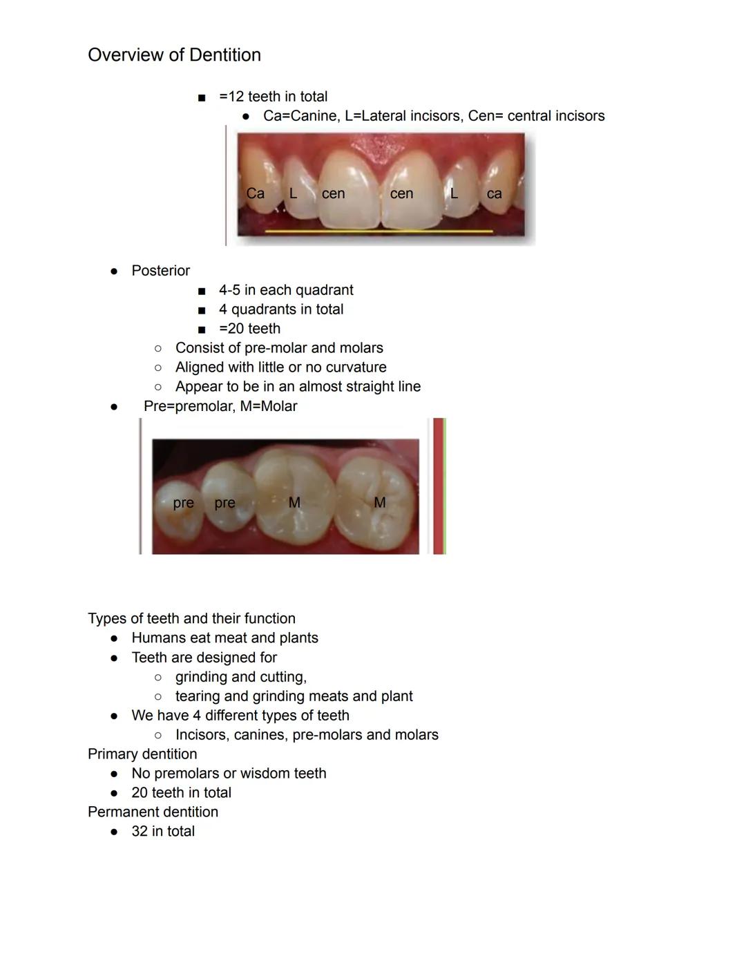 # Overview of Dentition
What we should know this chapter.
1. Dentition- describes the natural teeth in the jawbone
2. The dental assistant