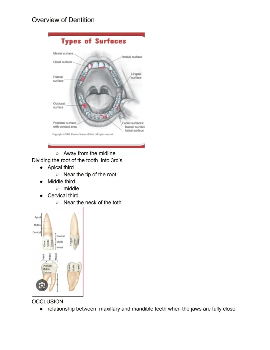 # Overview of Dentition
What we should know this chapter.
1. Dentition- describes the natural teeth in the jawbone
2. The dental assistant