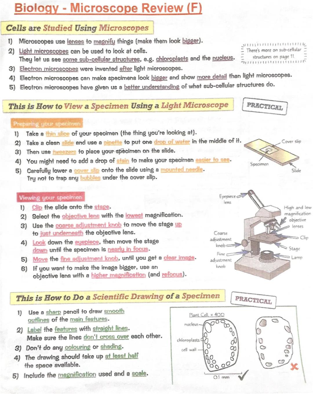 Biology - Microscope Review (F)
Cells are Studied Using Microscopes
1) Microscopes use lenses to magnify things (make them look bigger).
2)