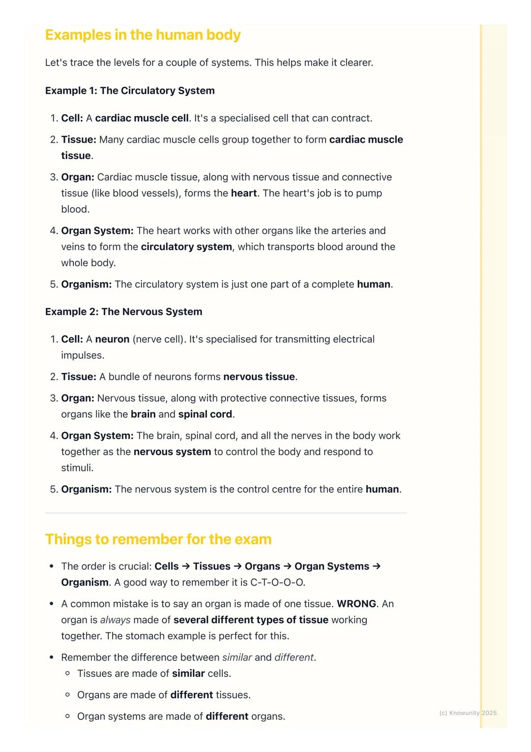 # Tissues, Organs, and Systems
## How our bodies are organised
All living things, including us, are highly organised. It's not just a rand