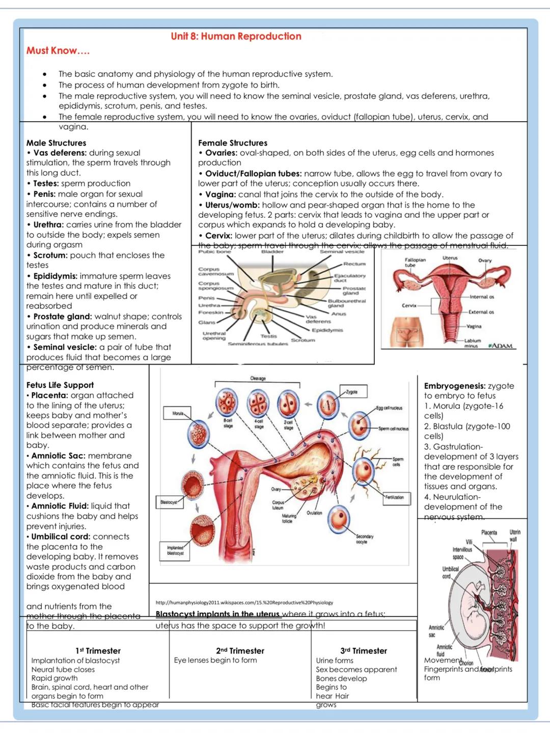 # Must Know....
Unit 8: Human Reproduction
- The basic anatomy and physiology of the human reproductive system.
- The process of human deve